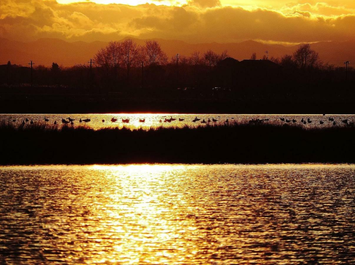 Cervia Marina Suite Dış mekan fotoğraf